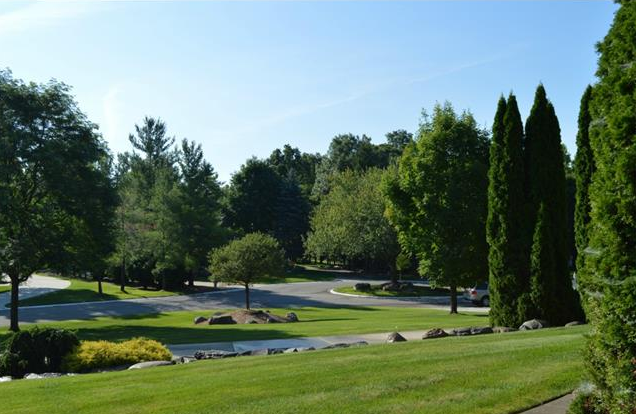 Homes for sale in Oak Pointe Estates Rochester Hills MI 
